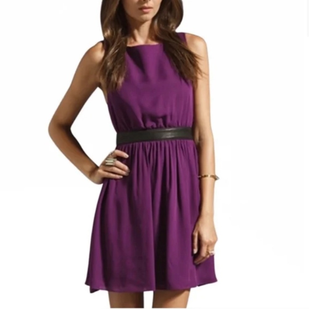 Alice + Olivia Nell Leather Waist A-Line Dress in Plum